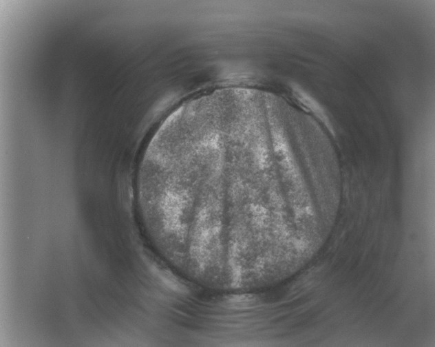 X0000063470059200602031910