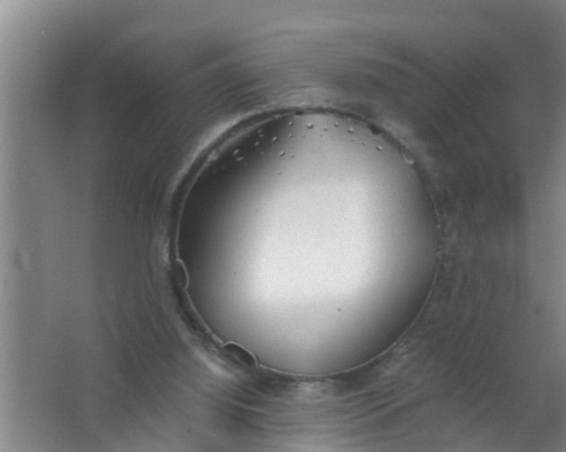 X0000063470060200602031910