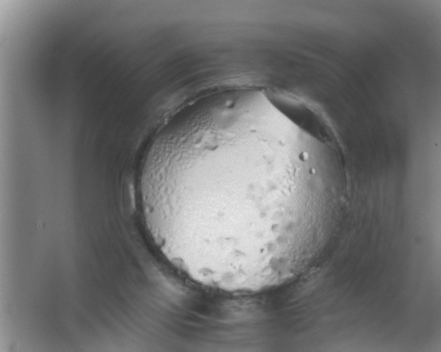 X0000063470061200602031910