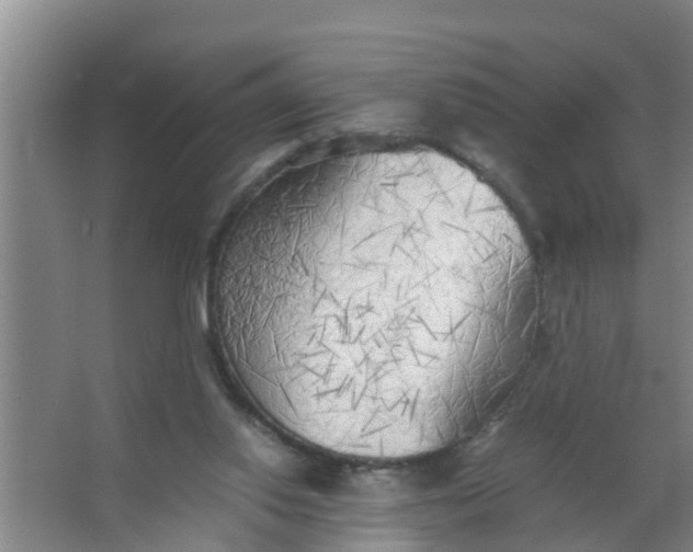 X0000063470062200602031910