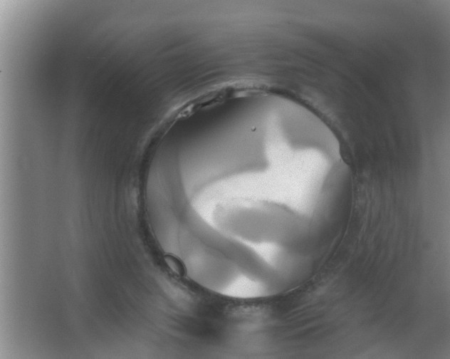 X0000063470063200602031910