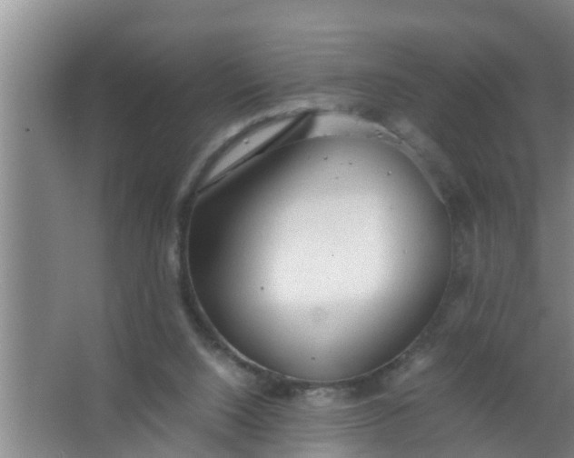 X0000063470064200602031910