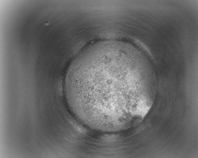 X0000063470065200602031910