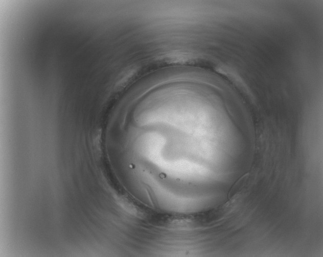 X0000063470066200602031910