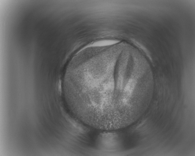 X0000063470067200602031910