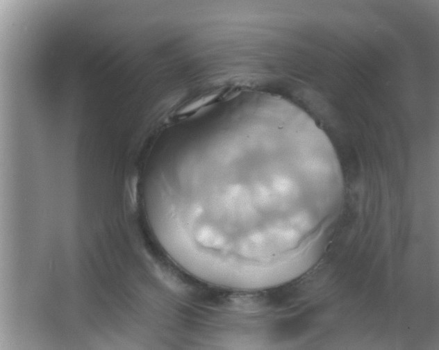 X0000063470070200602031910