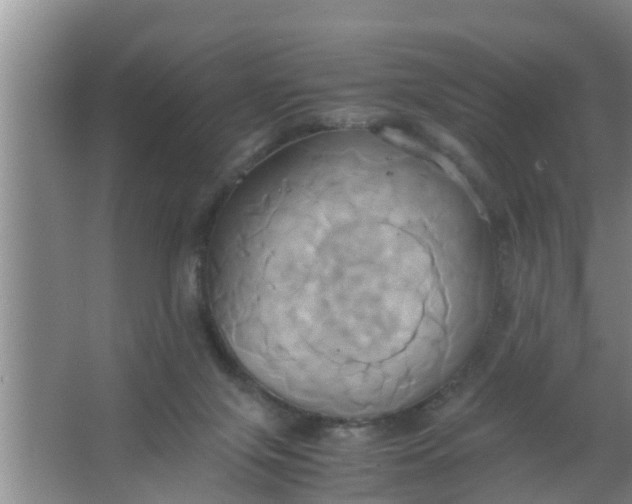 X0000063470071200602031910