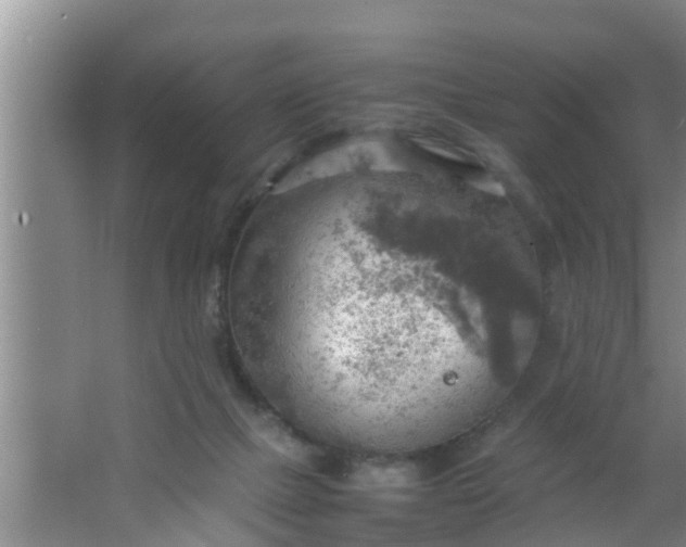 X0000063470073200602031910