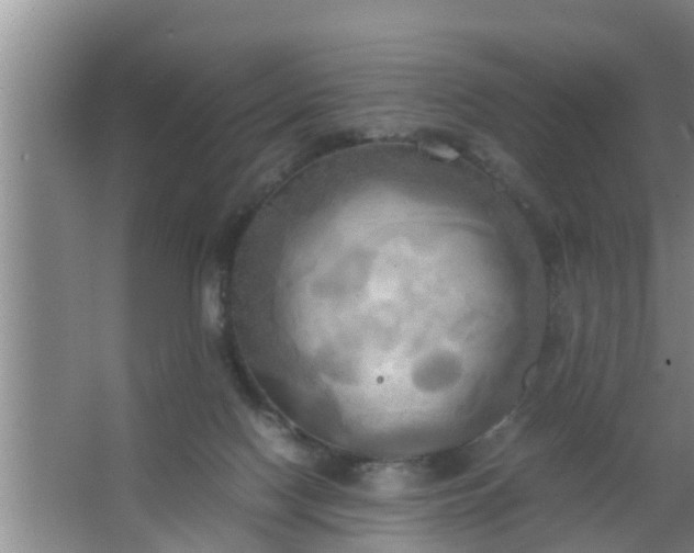 X0000063470074200602031910