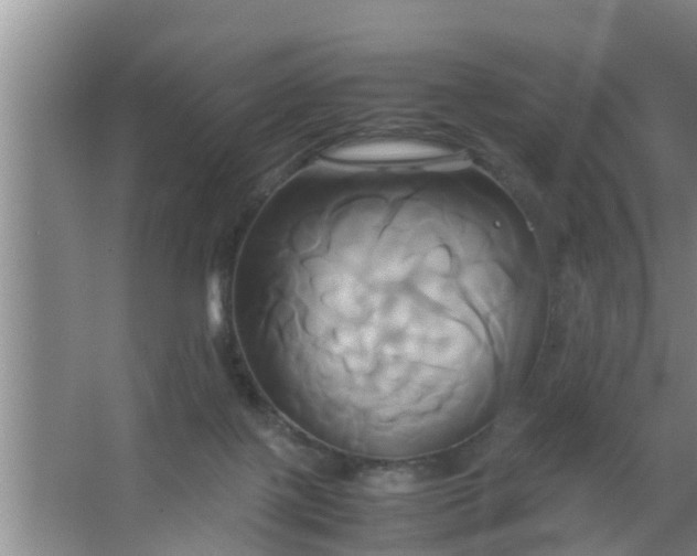 X0000063470075200602031911