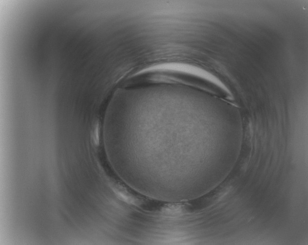 X0000063470076200602031911