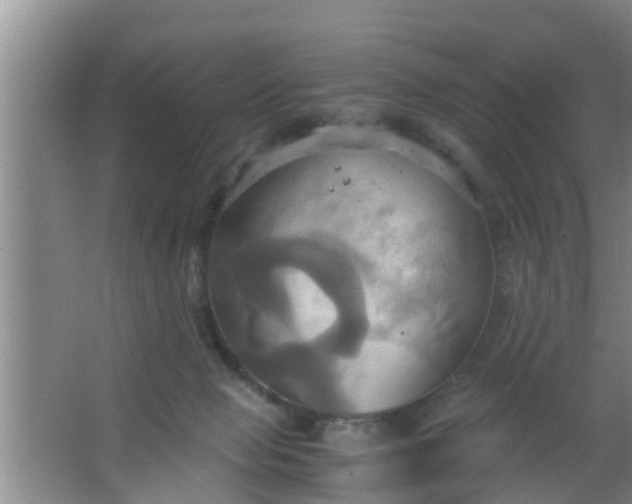 X0000063470077200602031911