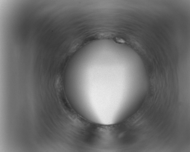 X0000063470079200602031911