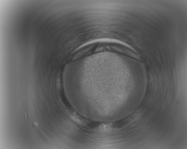 X0000063470080200602031911