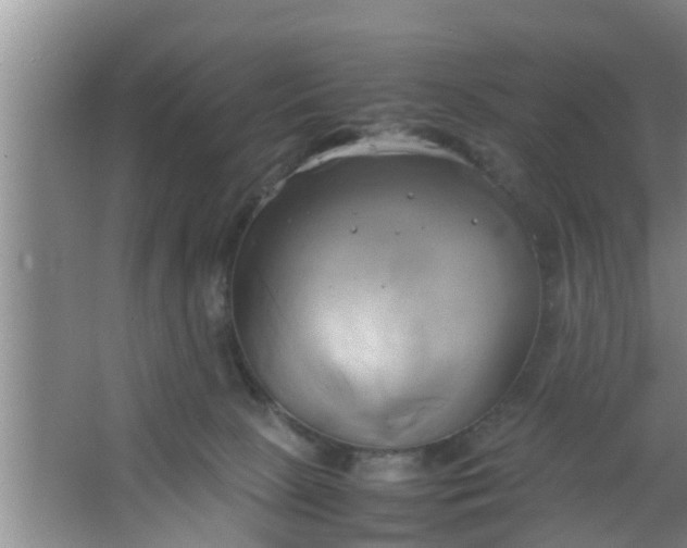 X0000063470081200602031911