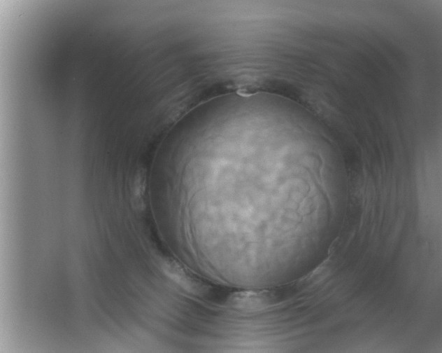 X0000063470082200602031911