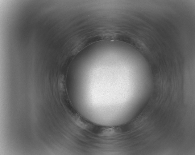 X0000063470083200602031911