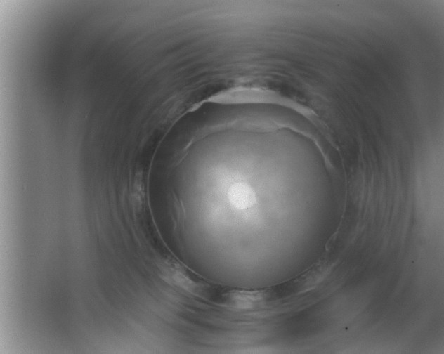 X0000063470085200602031911