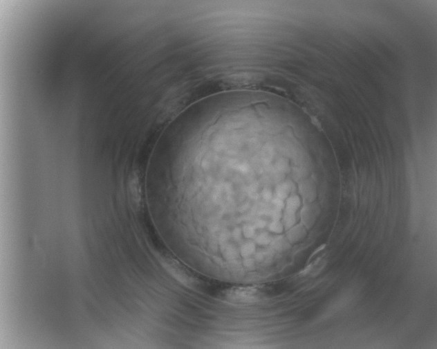 X0000063470086200602031911