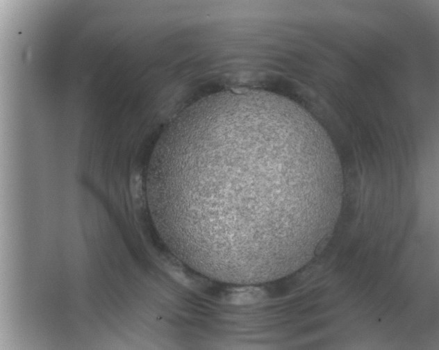 X0000063470087200602031911