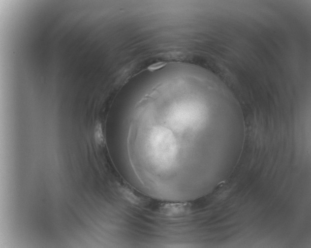 X0000063470089200602031911