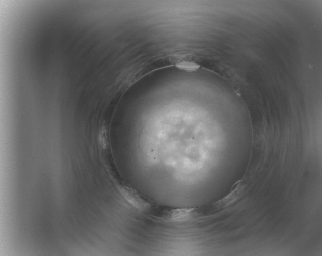 X0000063470090200602031911