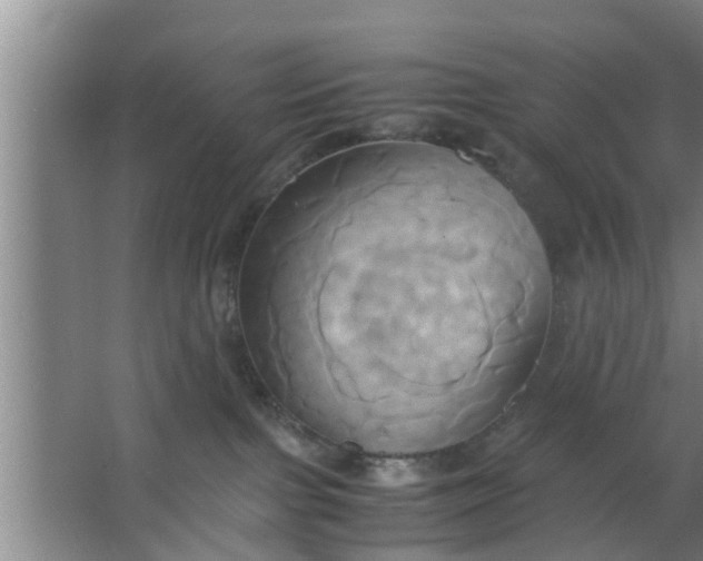 X0000063470091200602031911