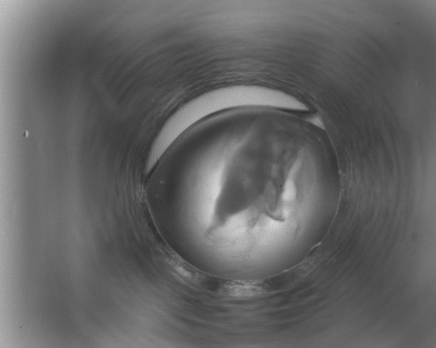 X0000063470093200602031911