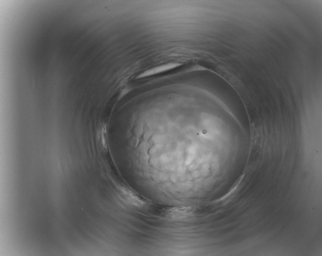 X0000063470094200602031911