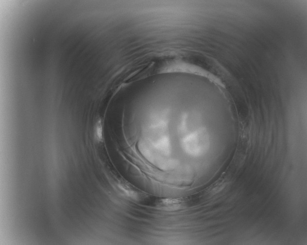 X0000063470095200602031911