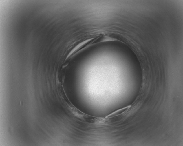 X0000063470096200602031911