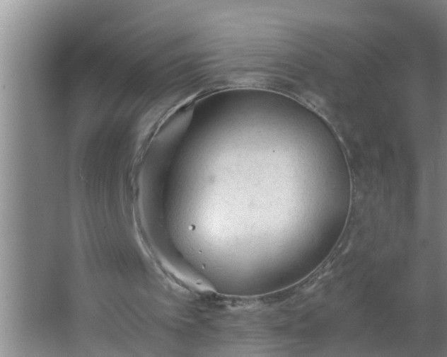 X0000063470097200602031910