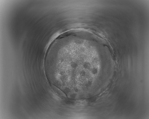 X0000063470099200602031910