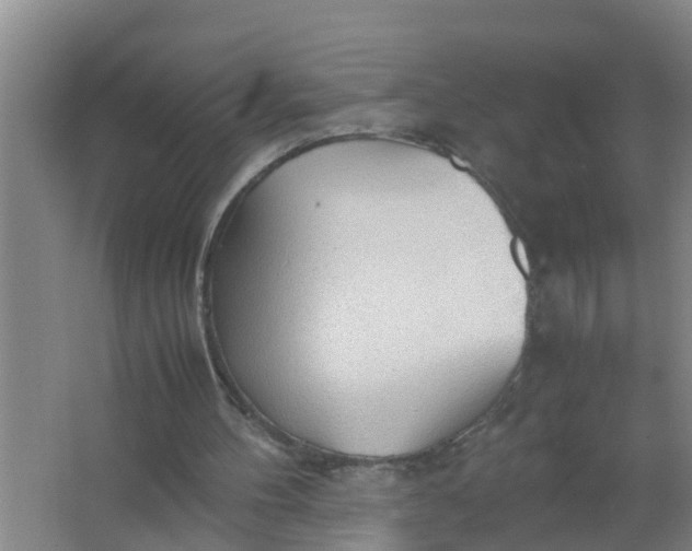 X0000063470100200602031910