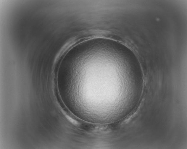 X0000063470101200602031910