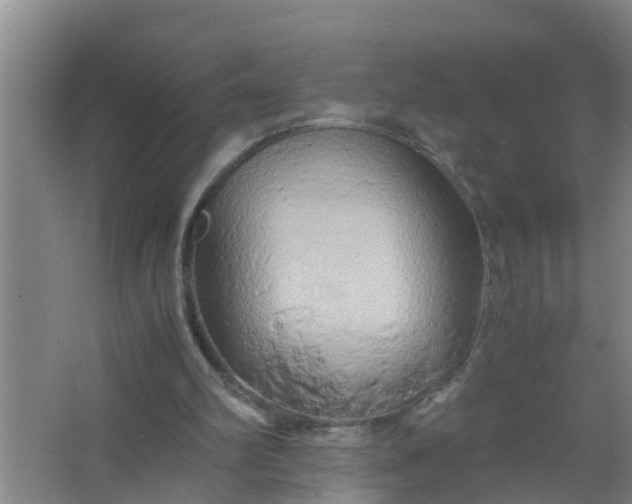 X0000063470102200602031910