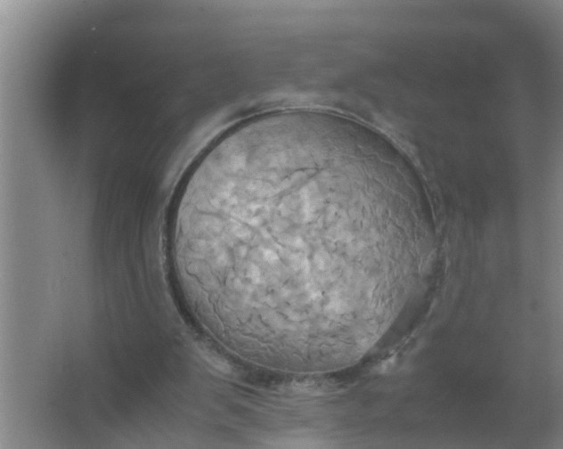 X0000063470103200602031910