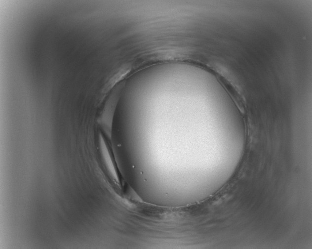 X0000063470105200602031910