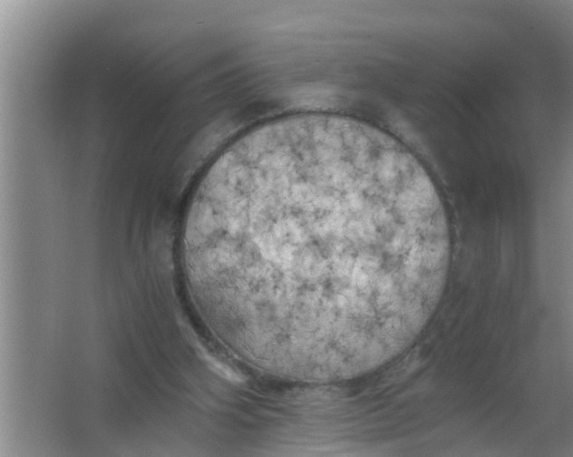 X0000063470106200602031910