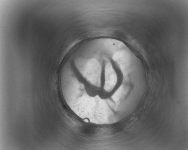 X0000063470107200602031910