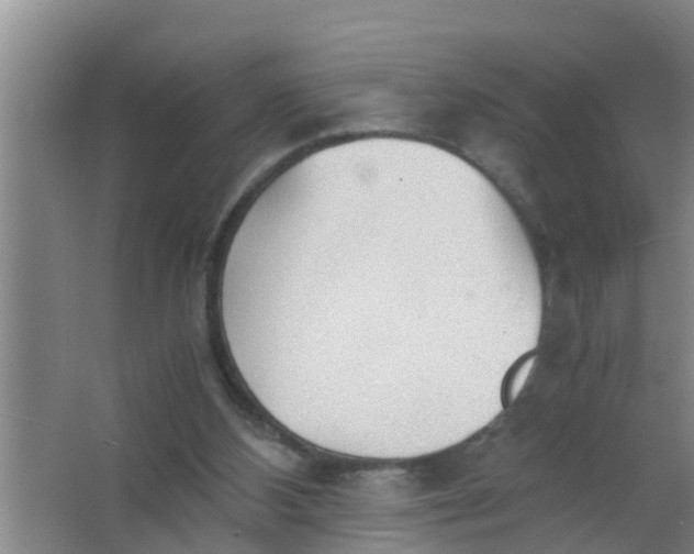 X0000063470108200602031910