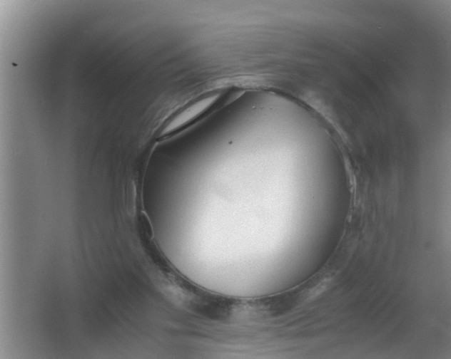 X0000063470109200602031910