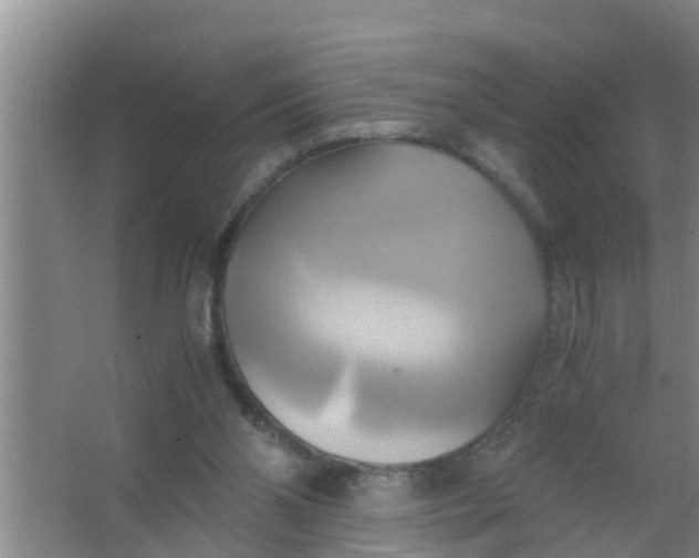 X0000063470110200602031910