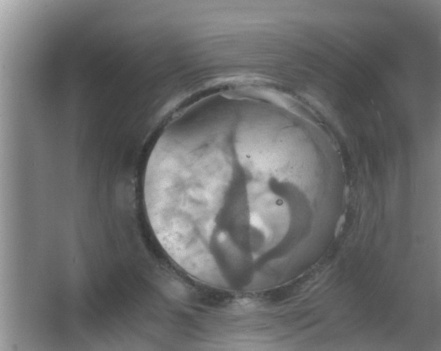 X0000063470111200602031910