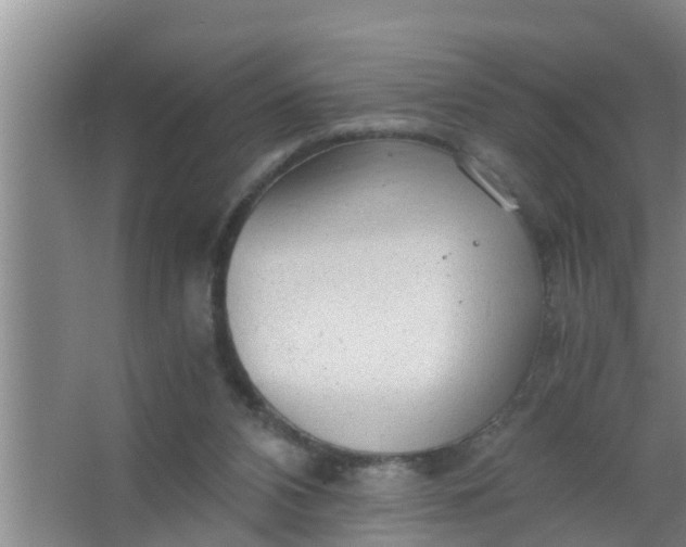 X0000063470112200602031910