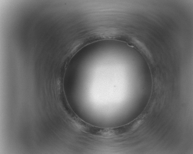 X0000063470113200602031910