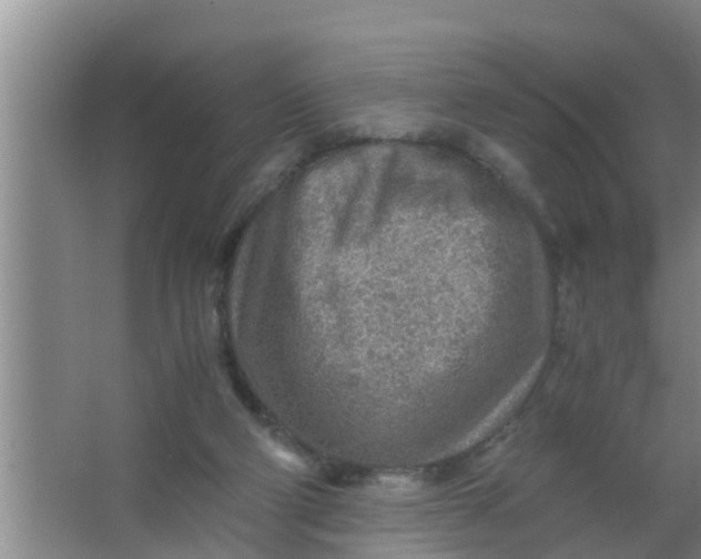 X0000063470114200602031910