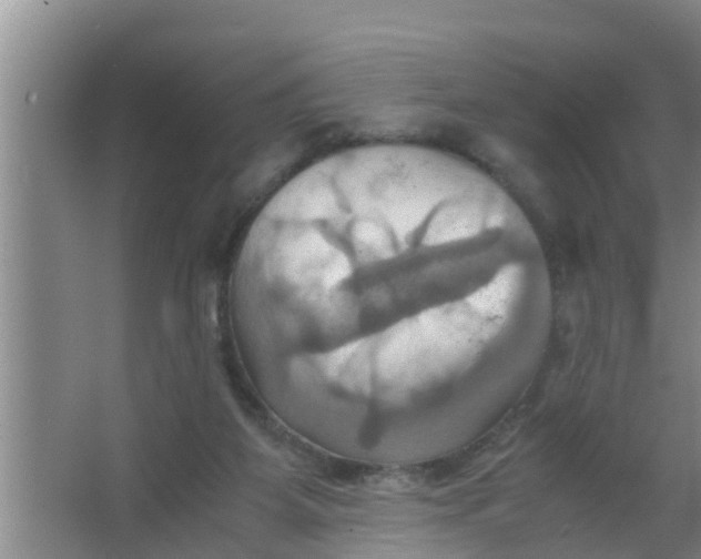 X0000063470115200602031910