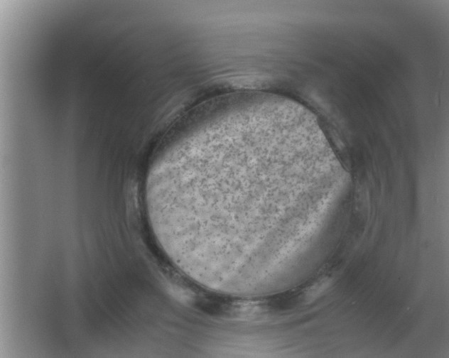 X0000063470117200602031910