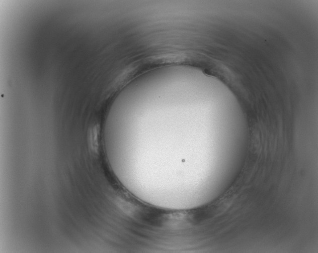 X0000063470118200602031910